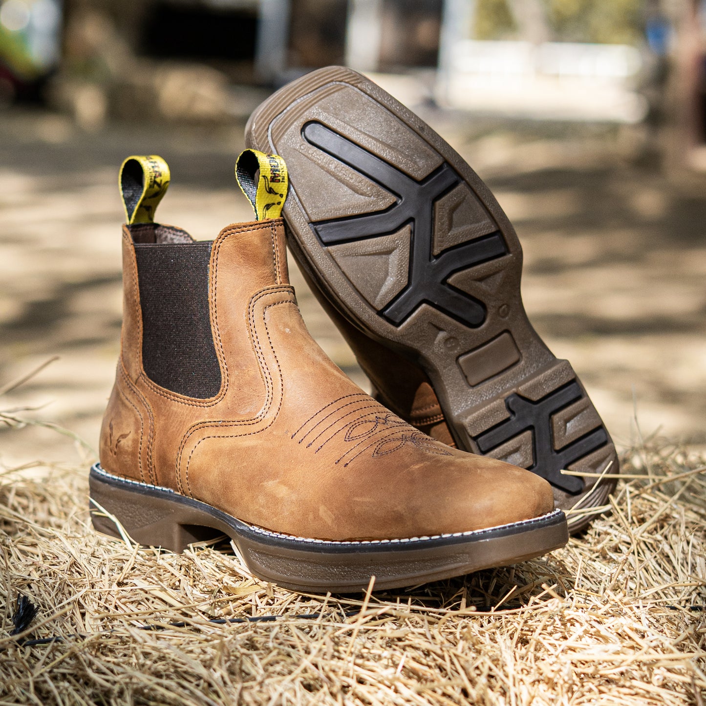 Bota Frontier Western