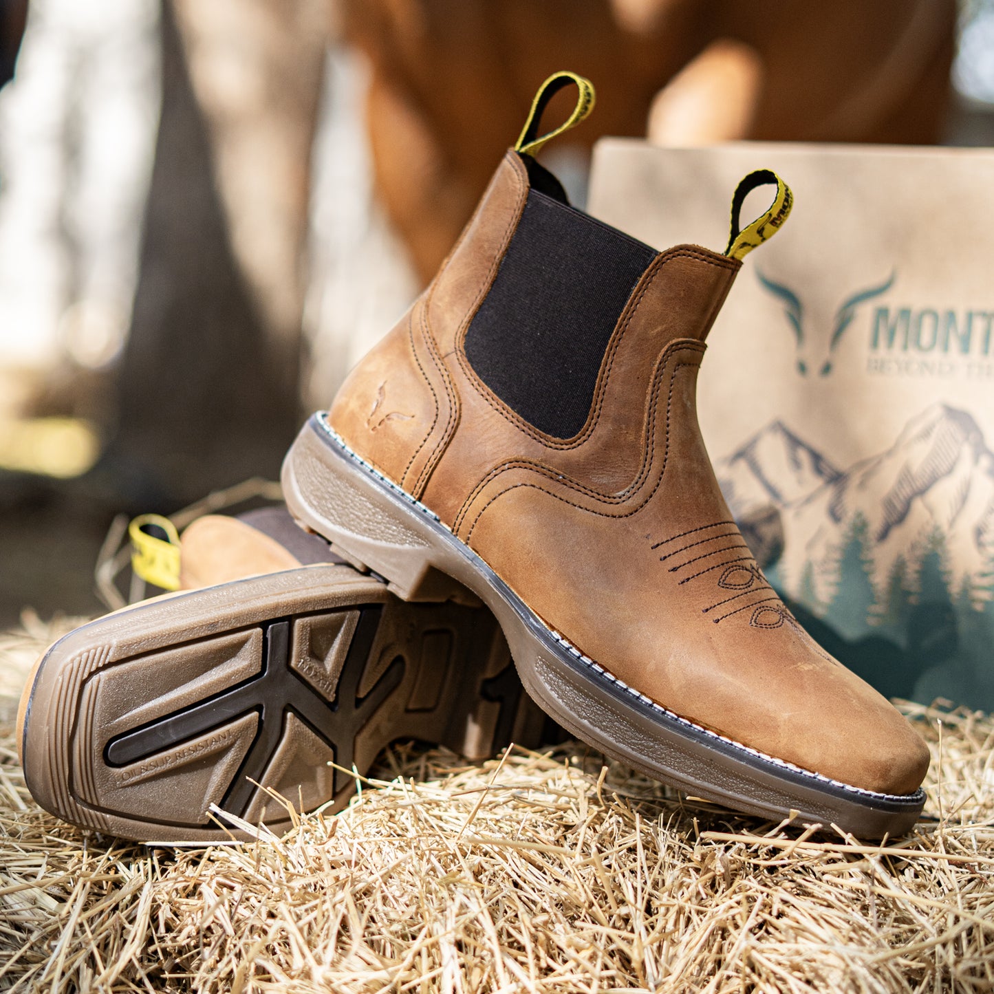 Bota Frontier Western