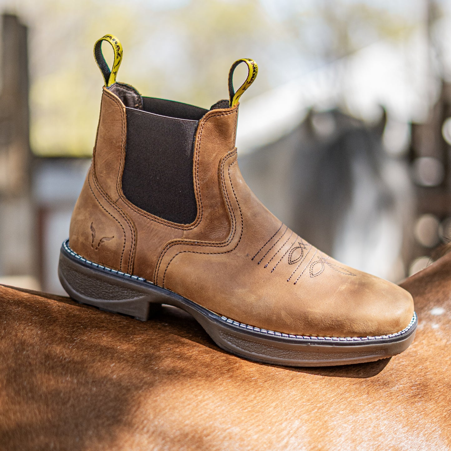 Bota Frontier Western