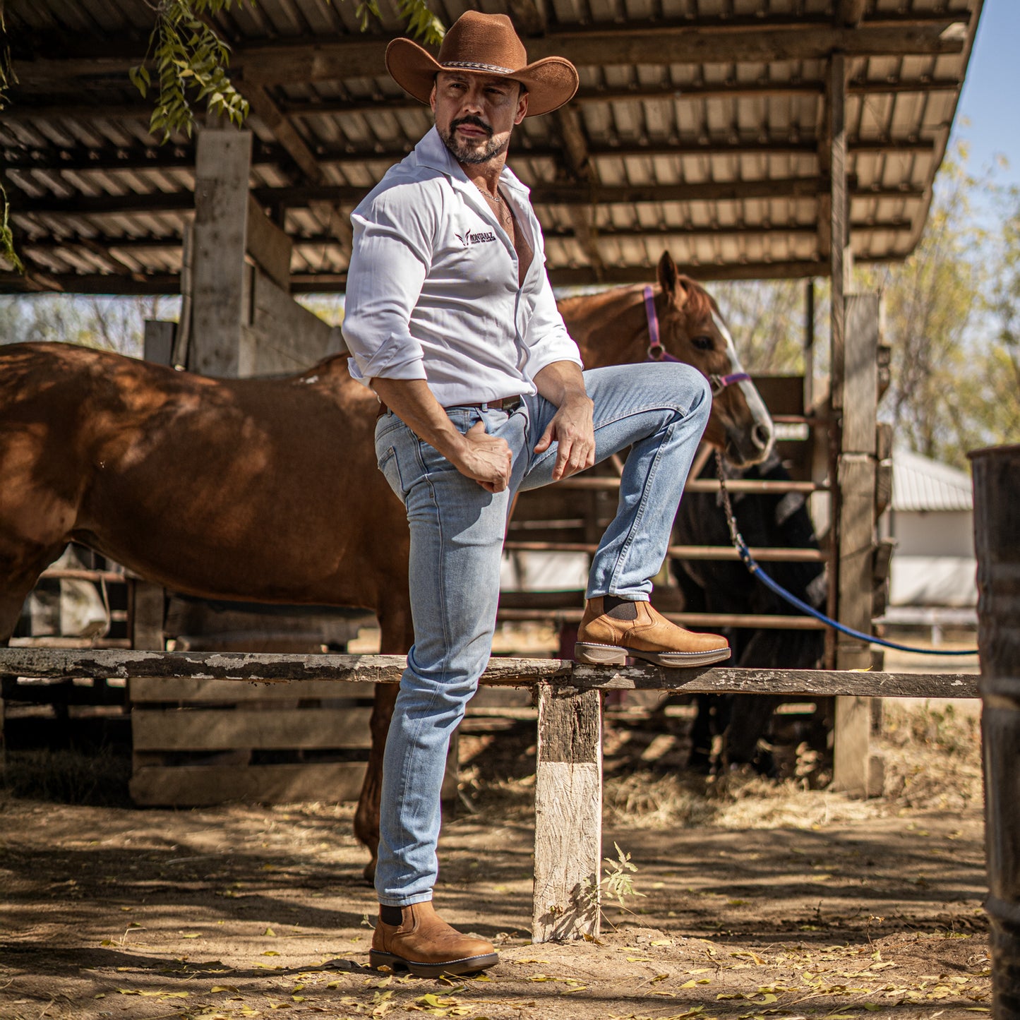 Bota Frontier Western